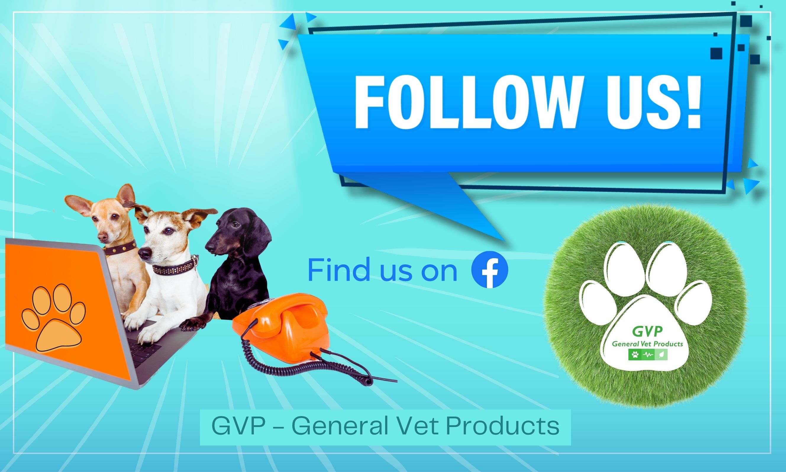 Image of Publication document.