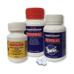 Image of Publication document.