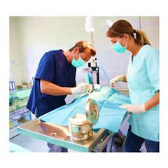 Image of Publication document.