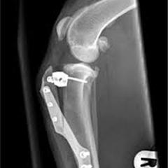 Image of Publication document.