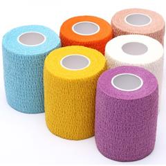 Image of Publication document.