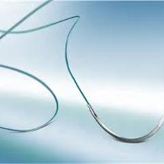 Image of Publication document.