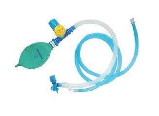 Image of Publication document.