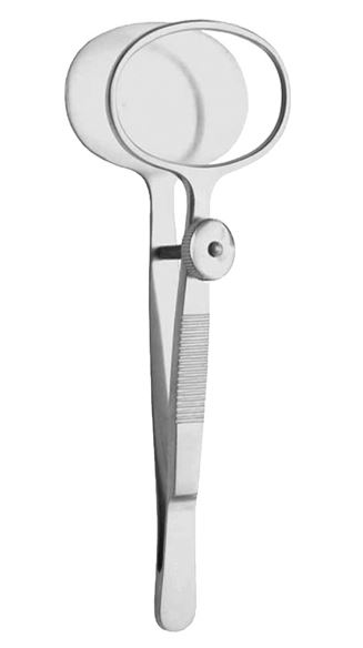 Image of Publication document.