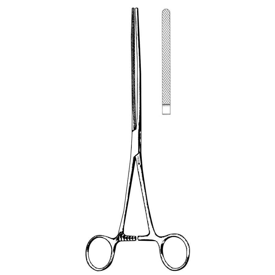 Image of Publication document.