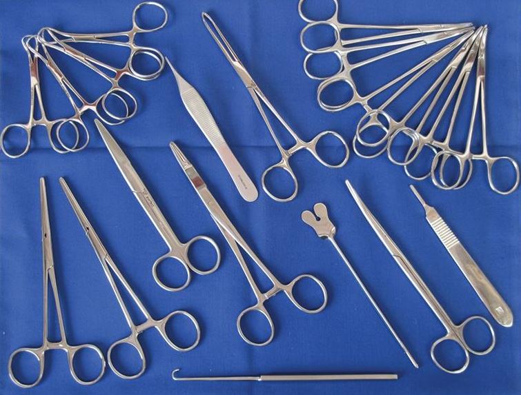 Image of Publication document.