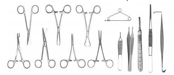 Image of Publication document.