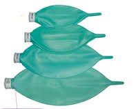 Image of Publication document.