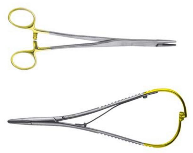 Image of Publication document.