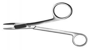 Image of Publication document.