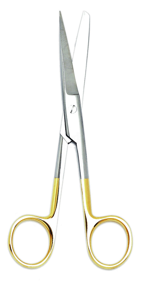 Image of Publication document.