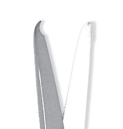 Image of Publication document.