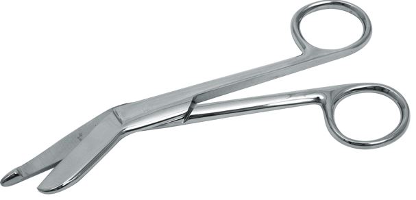 Image of Publication document.