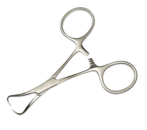 Image of Publication document.