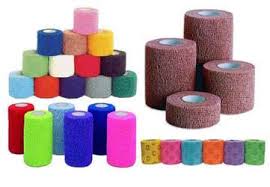 Image of Publication document.