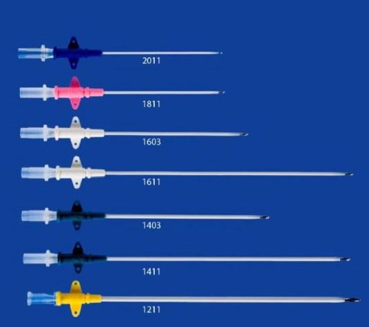 Image of Publication document.