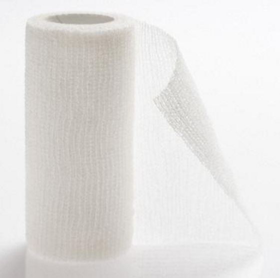 Image of Publication document.