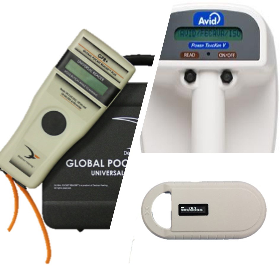 Image of Publication document.