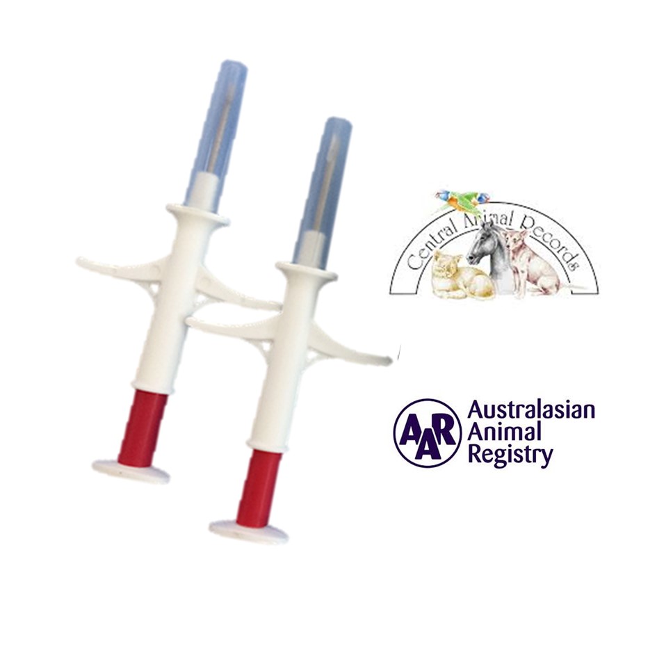 Image of Publication document.