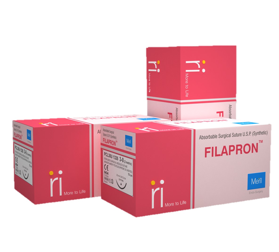 Image of Publication document.