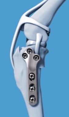 Image of Publication document.