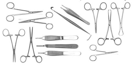 Image of Publication document.