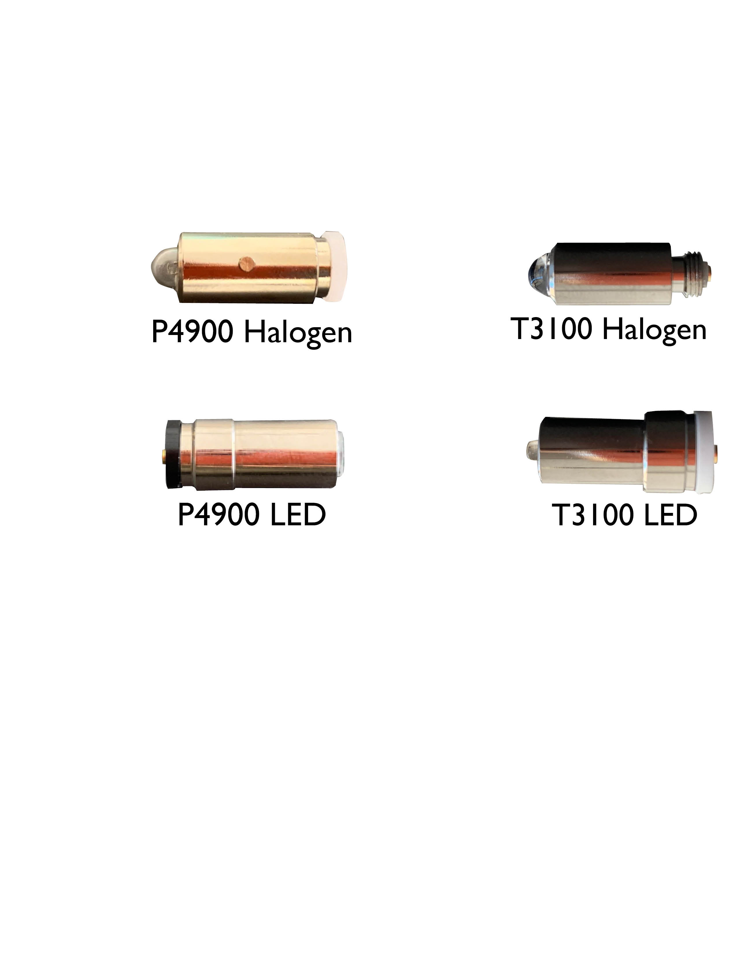 Image of Publication document.