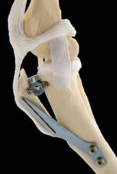 Image of Publication document.