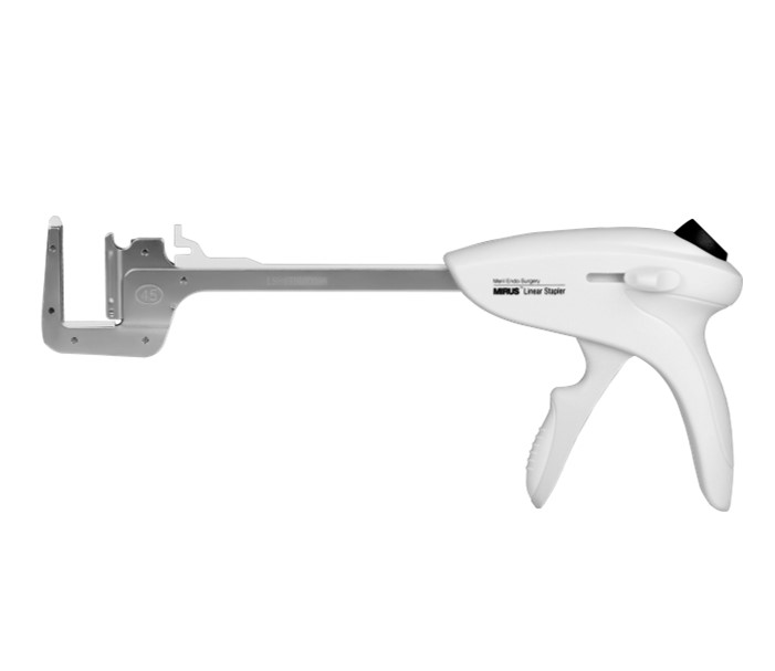 Image of Publication document.