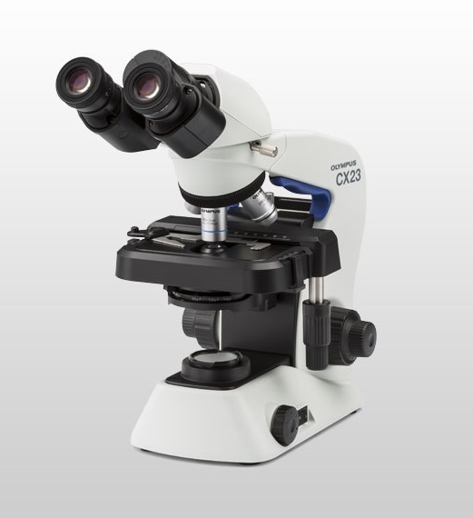 Image of Publication document.