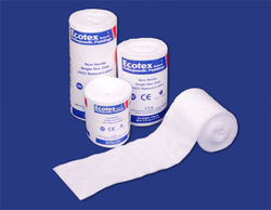 Image of Publication document.