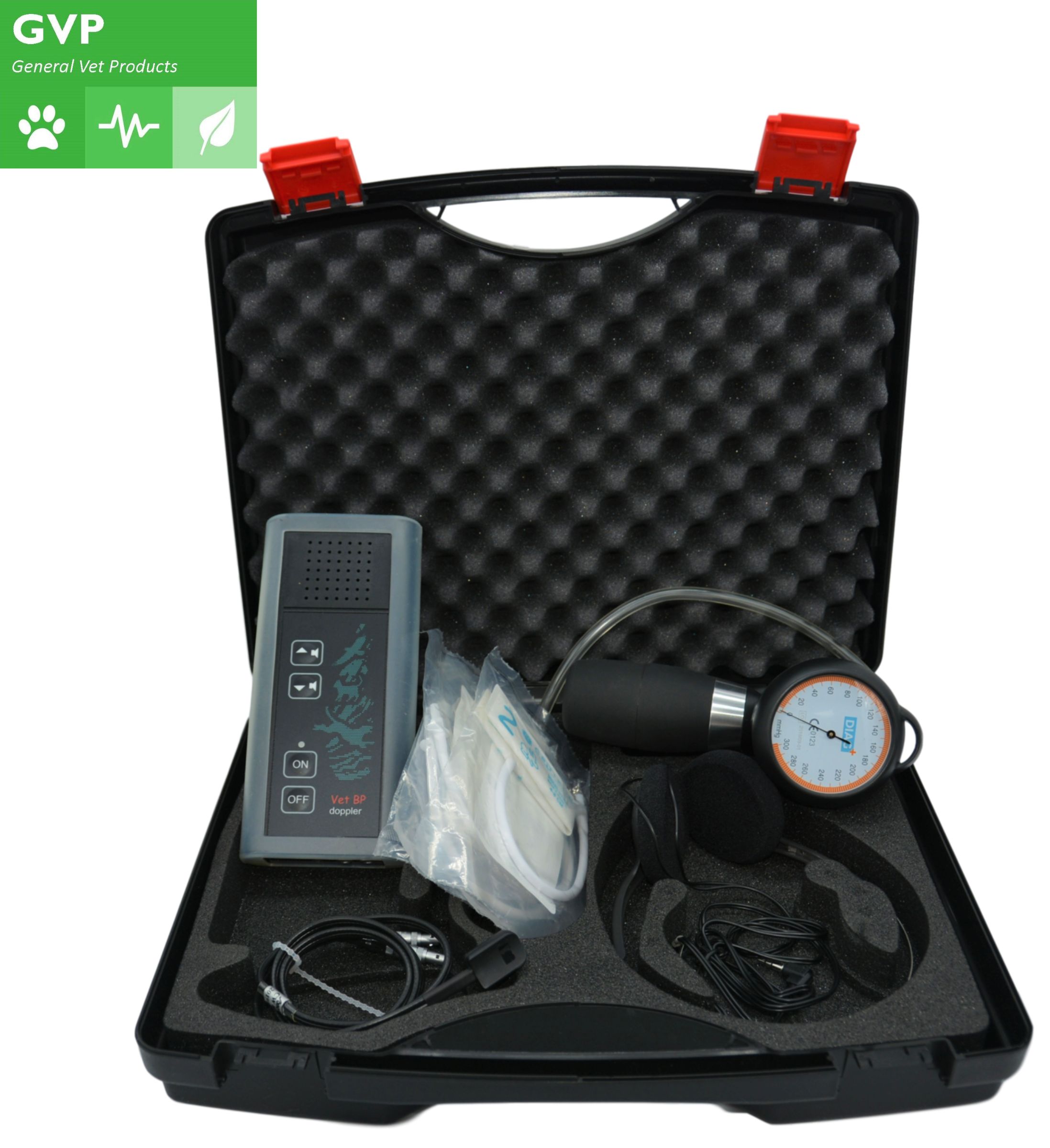 Image of Publication document.