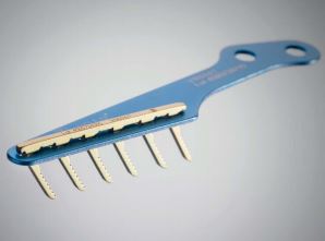 Image of Publication document.