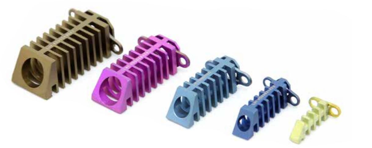 Image of Publication document.