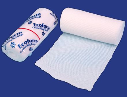 Image of Publication document.