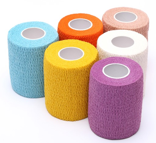 Image of Publication document.