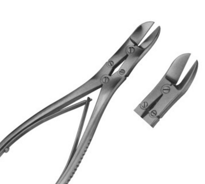 Image of Publication document.