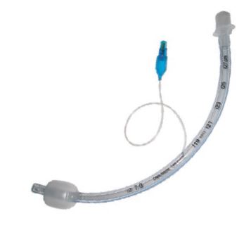 Image of Publication document.