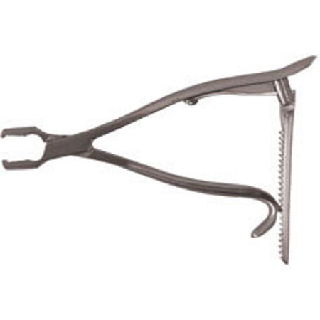 Image of Publication document.