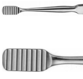 Image of Publication document.