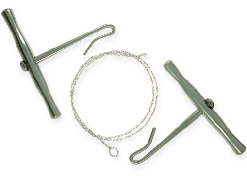 Image of Publication document.