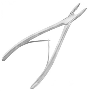 Image of Publication document.