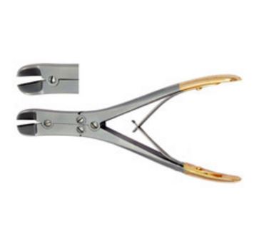 Image of Publication document.