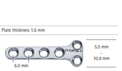 Image of Publication document.