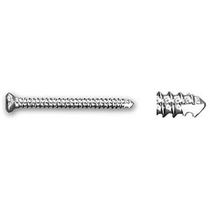 Image of Publication document.