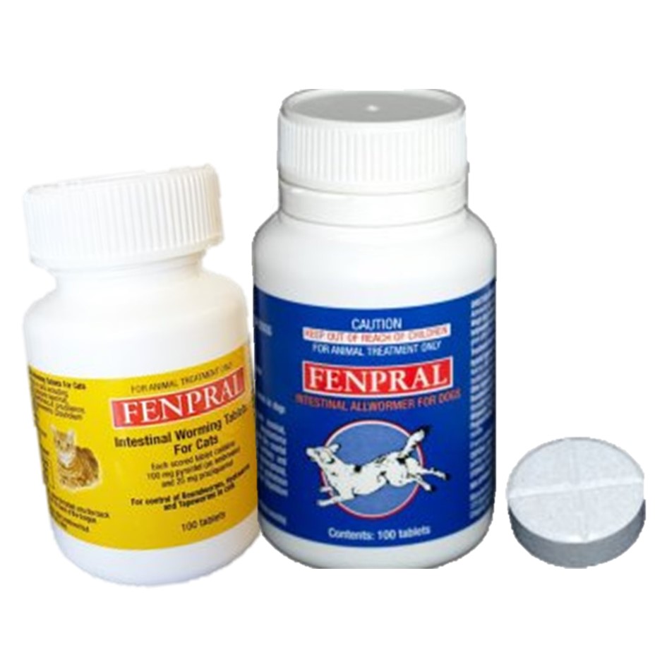 Image of Publication document.