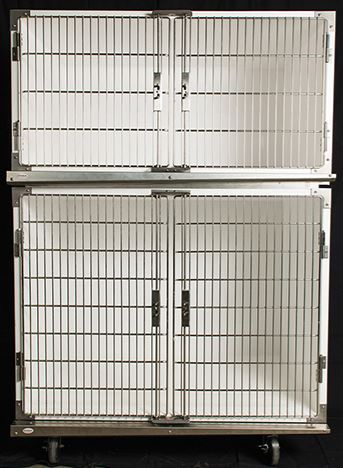 Image of Publication document.