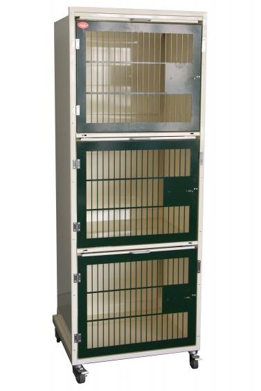 Image of Publication document.