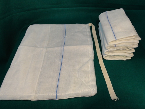 Image of Publication document.