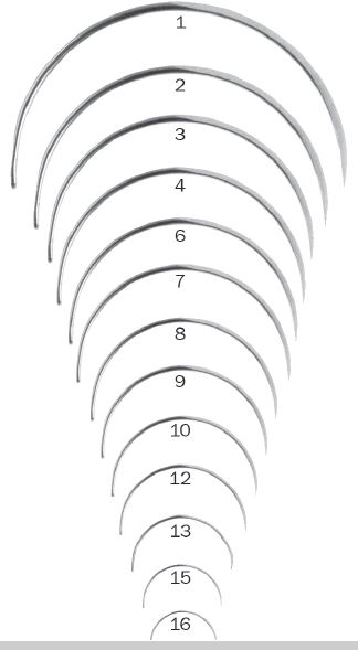 Image of Publication document.